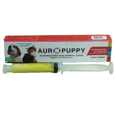 Auro Puppy