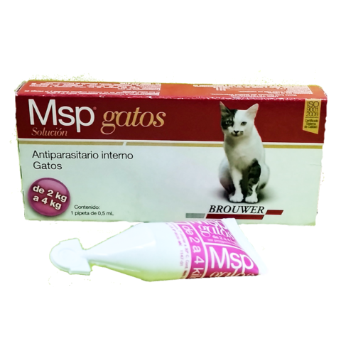 MSP Gatos